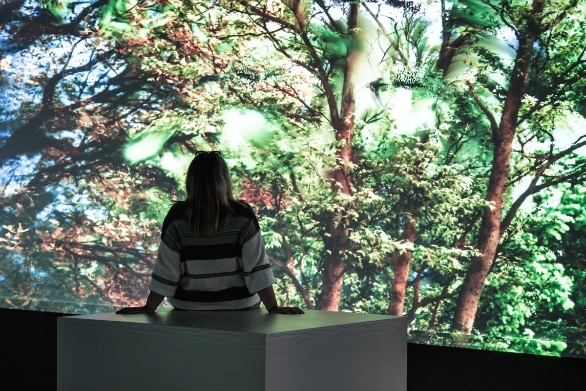 A visitor sitting in front of a projected forest at Culture House, Sunderland